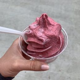 Frozen Yogurt