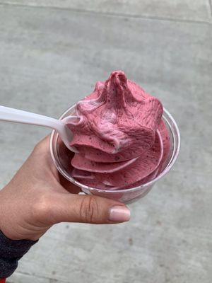 Wild Willy’s Ice Cream by null