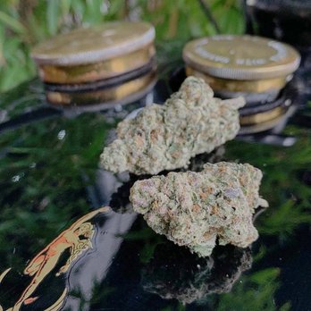 Utopia Gardens - Cannabis Dispensaries Near Me - Detroit, Michigan Utopia Gardens - Cannabis Dispensaries Near Me - Detroit, Michigan