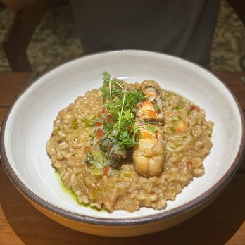 Ave - Lobster risotto - Mediterranean Near Me - Tampa, Florida