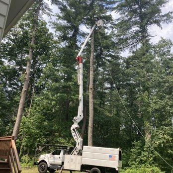 Mass Tree Removal - Tree Services Near Me - Stoughton, Massachusetts