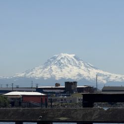 View from the patio