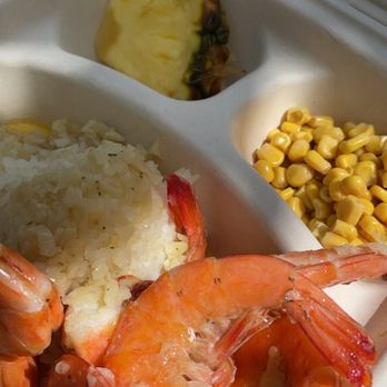 Hawaii Turtle Tours - Lunch! - Tours Near Me - Honolulu, Hawaii Hawaii Turtle Tours - Lunch! - Tours Near Me - Honolulu, Hawaii
