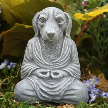 Karma Dog Training - Pet Training Near Me - Carrollton, Texas