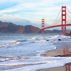 The Connective - Serving San Francisco + Beyond!