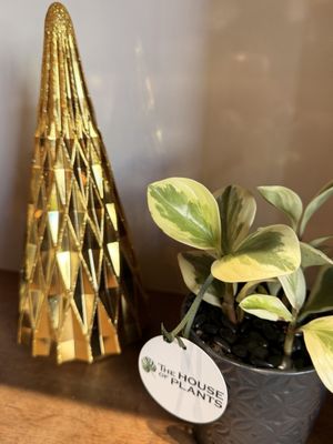 Parfait Paris by null Parfait Paris by null