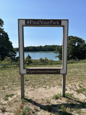 Cape Cod National Seashore by null