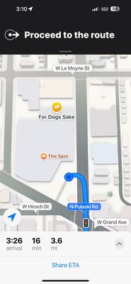 For Dog's Sake by null