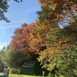 Big Bears Lodge - Color