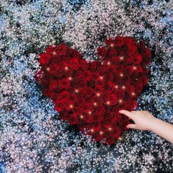 Cherish 渡岛 Florist - Will you marry me？