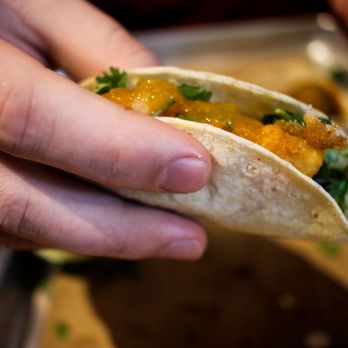 Bartaco - Rock shrimp taco - Mexican Near Me - Tampa, Florida Bartaco - Rock shrimp taco - Mexican Near Me - Tampa, Florida