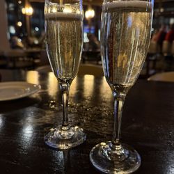 Aqua Terra - Cheers!