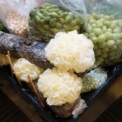 樂富街市 - Fresh 雪耳 (snow fungus)!!! $12/each. Yes I did buy one.