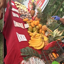 Fruit Stand Fruit Stand