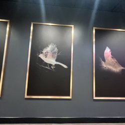 Angels Envy Bourbon Club