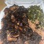 Photo of Bigg's Jamaican Restaurant