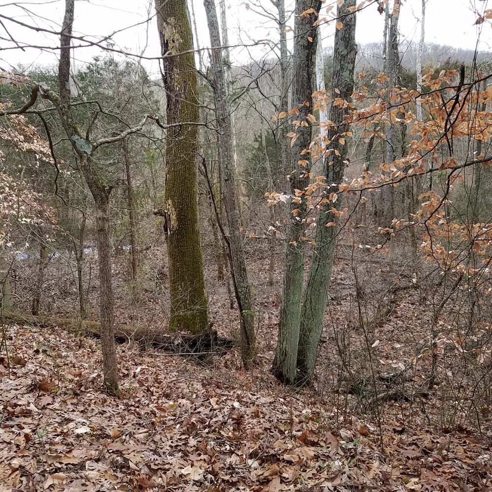Touch the Earth Natural Area - about a forty feet drop off on the Lenape Trail - Parks Near Me - Columbus, Indiana Touch the Earth Natural Area - about a forty feet drop off on the Lenape Trail - Parks Near Me - Columbus, Indiana