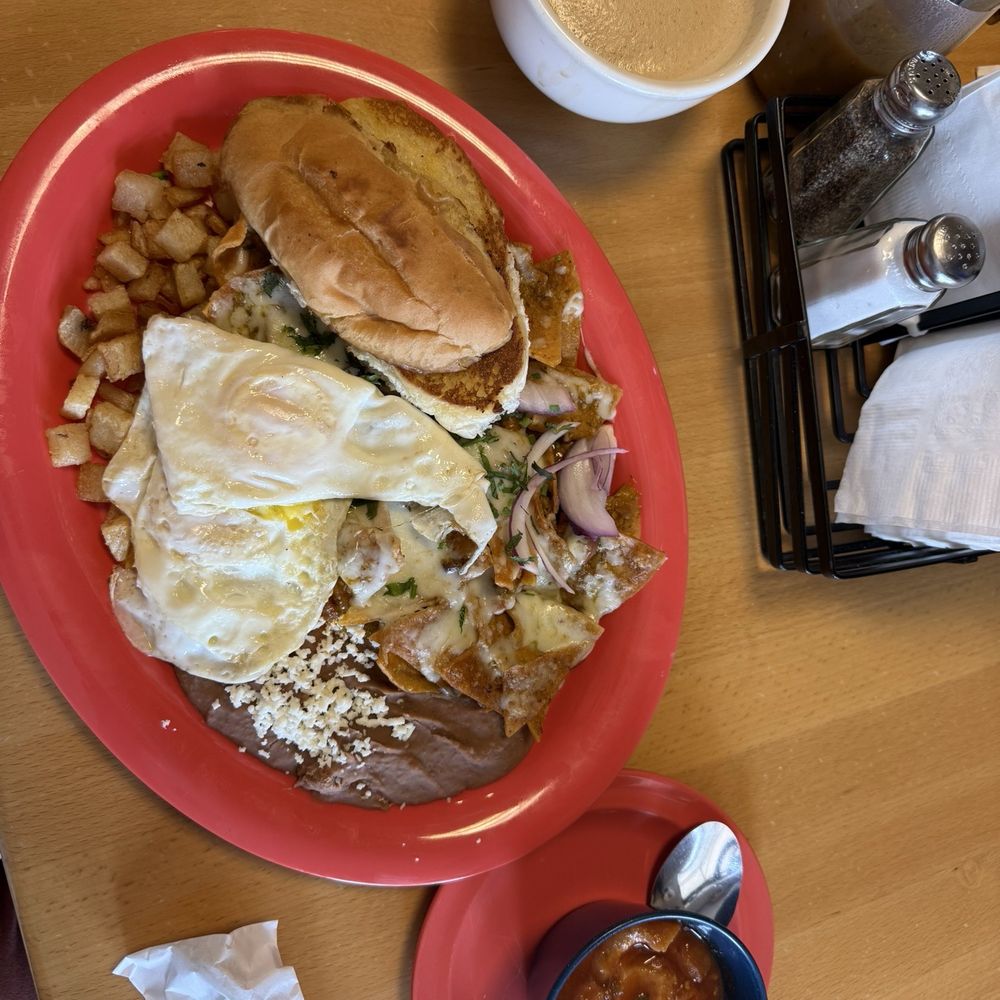 Bolillos Cafe - Chilaquiles Plate - Bakeries Near Me - Laredo, Texas Bolillos Cafe - Chilaquiles Plate - Bakeries Near Me - Laredo, Texas