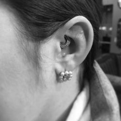 Blue Byrd Tattoo & Body Piercing - Piercing done by Liz and switched to new jewelry once healed.