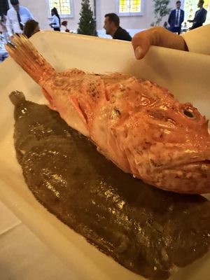 Pierluigi by null Pierluigi by null