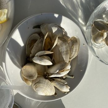 Spanky's Clam Shack - Steamers - Seafood Near Me - Hyannis, Massachusetts