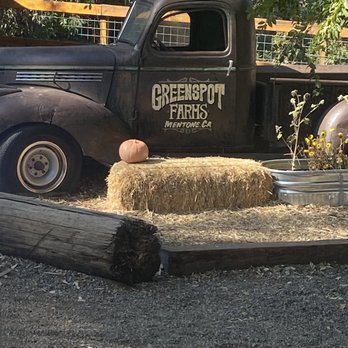 Greenspot Farm - Farmers Market Near Me - Mentone, California Greenspot Farm - Farmers Market Near Me - Mentone, California