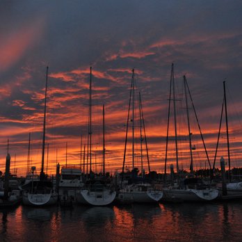 Emery Cove Marina - Sailors delight! - Marinas Near Me - Emeryville, California