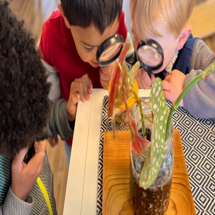 Green Space Nature Preschool - childcare center in Fort Worth, TX