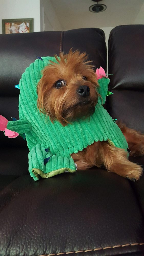 STEELE CANYON VETERINARY CLINIC Updated March 2024 50 Reviews