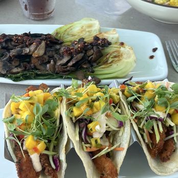 Port Marina - Fish tacos and bok choy - Cocktail Bars Near Me - Cape May, New Jersey