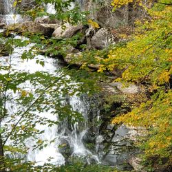 Black Dome Guide And Rough Riders Ranch - Waterfall
