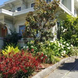 Nature's Design - Front garden in the Lakeshore area of Oakland