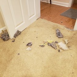 Bob A Haines Carpet Repair - This is the before photo of the damage from my dog.  He ate the carpet, padding, and part of the tack strip.