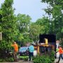 Photo of Hyperion Tree Service