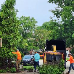 Hyperion Tree Service