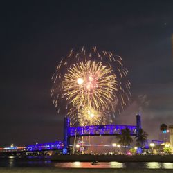Jacksonville Light Boat Parade & Fireworks Spectacular