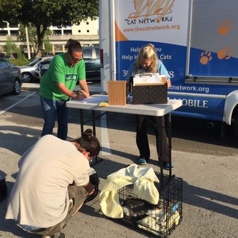 Miami Meow Mobile - Veterinarians Near Me - Miami, Florida Miami Meow Mobile - Veterinarians Near Me - Miami, Florida