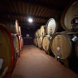 La Ciarliana - Wine barrels in cellar