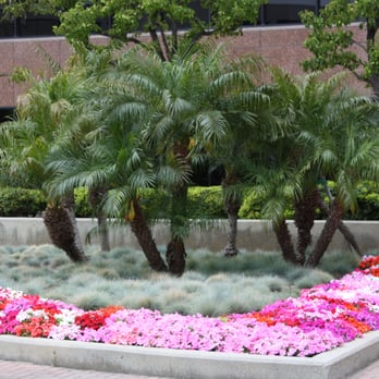 Los Trabajadores Inc - a flower bed in front of a building - Landscaping Near Me - Inglewood, California Los Trabajadores Inc - a flower bed in front of a building - Landscaping Near Me - Inglewood, California