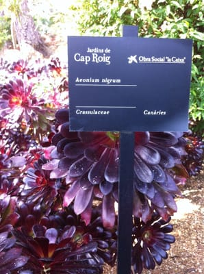 Jardíns de Cap Roig by null