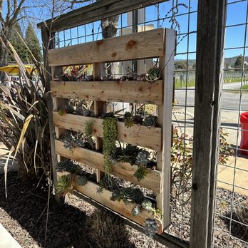 Amista Vineyards - Wine Tours Near Me - Healdsburg, California