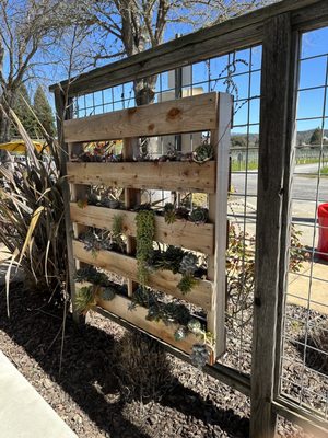 Amista Vineyards by null