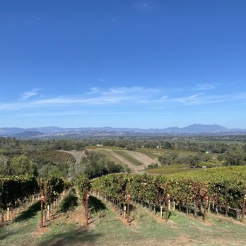 Thomas George Estates - What a beautiful view from the top point of Russian river - Wineries Near Me - Healdsburg, California