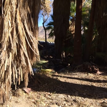 Smoke Tree Stables - Lush part of dessert on 2 hour tour. - Horseback Riding Near Me - Palm Springs, California Smoke Tree Stables - Lush part of dessert on 2 hour tour. - Horseback Riding Near Me - Palm Springs, California