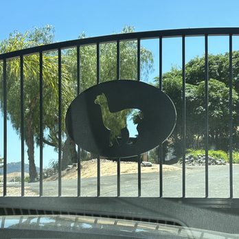 The Alpaca Hacienda - Attraction Farms Near Me - Temecula, California