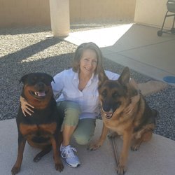 Love and Light - I am a Animal Communicator and Energy Healer. I can  help you to resolve any problem or issues with your animals.