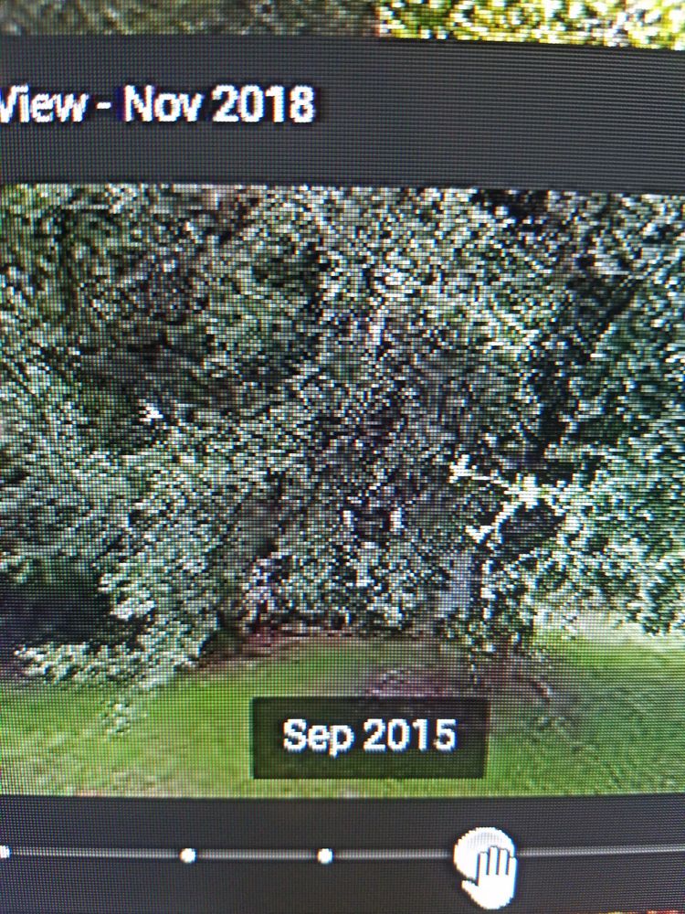 Slide of Roofing Solutions of Tampa