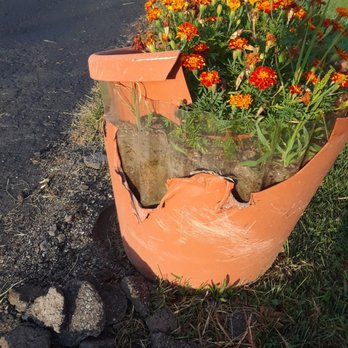 Angola Motel - Broken flower pot. - Hotels Near Me - Angola, New York Angola Motel - Broken flower pot. - Hotels Near Me - Angola, New York