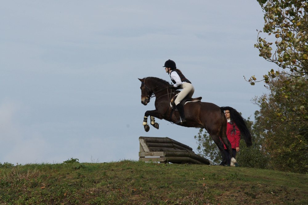 WITHERSFIELD HALL SCHOOL OF EQUITATION Updated April 2024 Turnpike