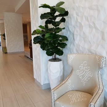Expressions In Green - Indoor Landscaping Near Me Expressions In Green - Indoor Landscaping Near Me